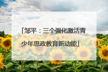 邹平：三个强化激活青少年思政教育新动能